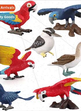 Animal model toys bird parrot doll ornaments plastic animal
