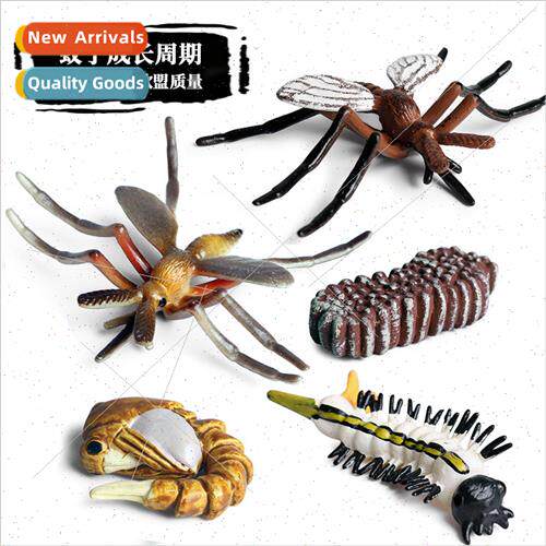 Animal insect model science education mini animal mosquoes a