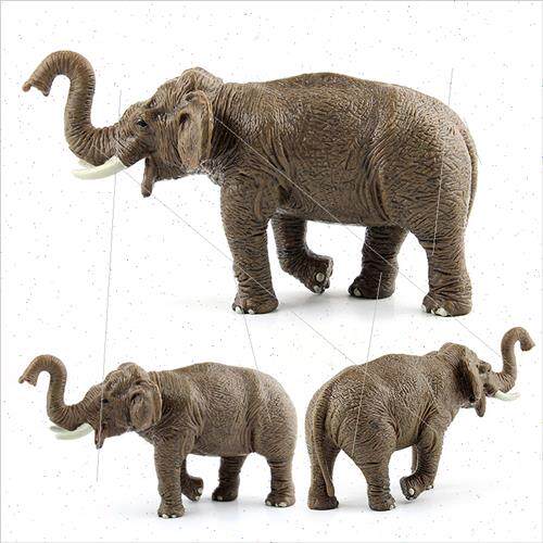 Solid wildlife model children science education cognive Asia
