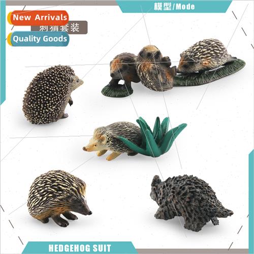 Wild Mammal Hedgehog Model Hedgehog Mouse Stealing Melon Bad