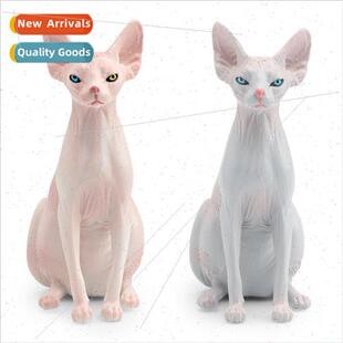 Animal pet cat model Canadian hairless cat static desktop or