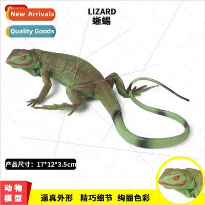 Animal model reptiles amphibious green iguana lizard lizard