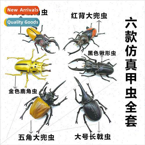 Beetle toys New beetle model children educational toys Child