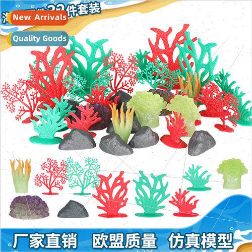 Marine plants micro landscape aquascape aquatic plants coral