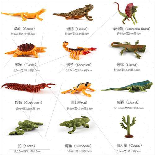 Wild amphibian reptile flying insect insect set model soft p