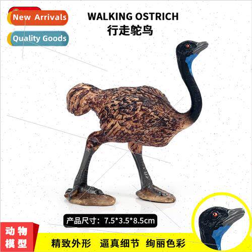 Wildlife model birds Australian emu Ostrich children plastic