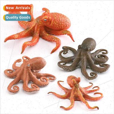 Model octopus octopus sting octopus stone house undersea cre