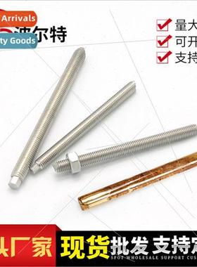 Stainless Steel Chemical Anchor Bolt304 Chemical Expansion S