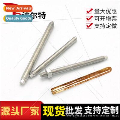 Stainless Steel Chemical Anchor Bolt304 Chemical Expansion S