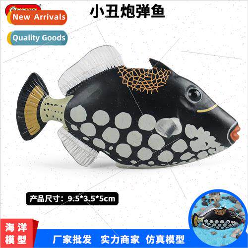 Tropical marine saltwater fish clown canball glass canball m