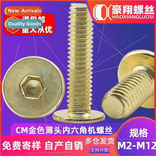 304 CM gold color thin head hexagon socket screws large flat
