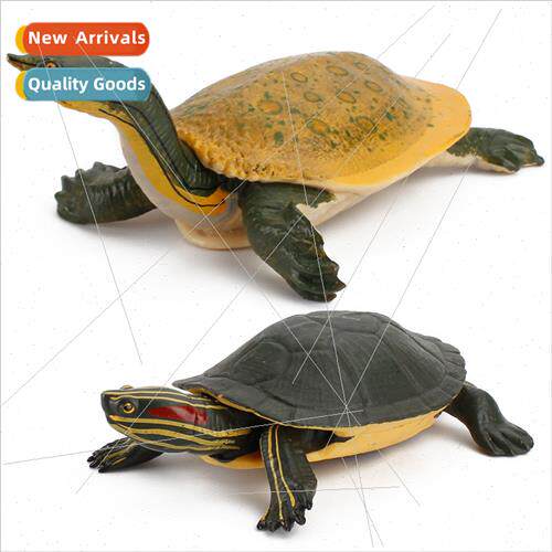 mulation Brazilian turtle snapper model set marine animals s