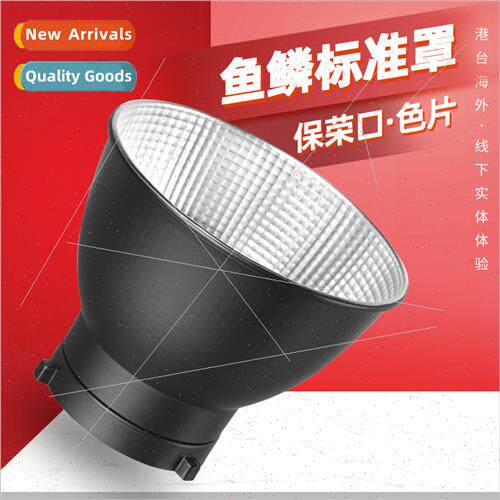 Photography  cover fish scale Bowens mouth studio light fill
