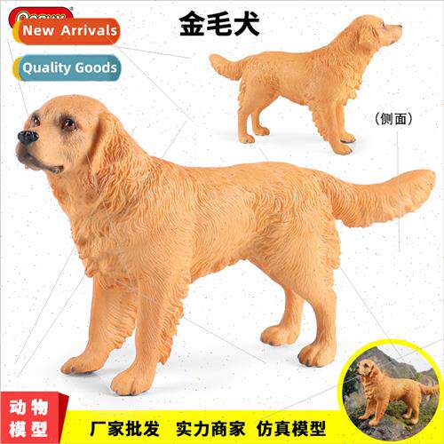 Animal model home furnishings golden retriever retriever pet