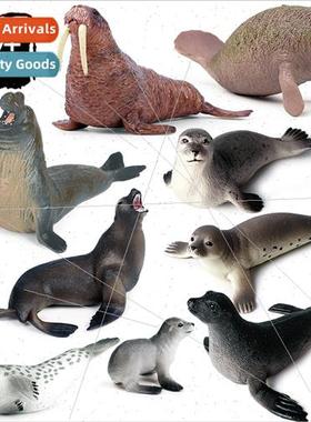 Model static solid seal sea lion manatee children early educ