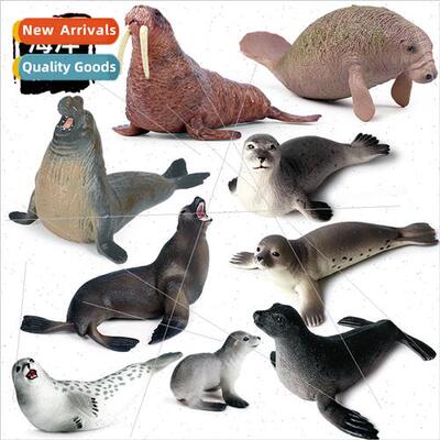 Model static solid seal sea lion manatee children early educ