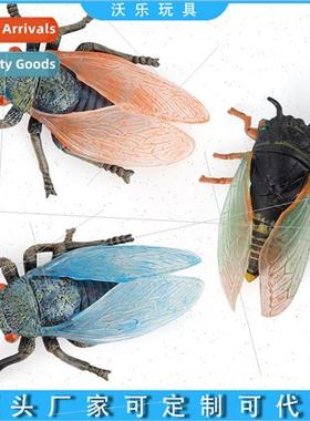 wildlife crawling insect model cicada robin beetle fun compu