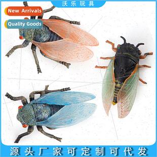 wildlife crawling insect model cicada robin beetle fun compu