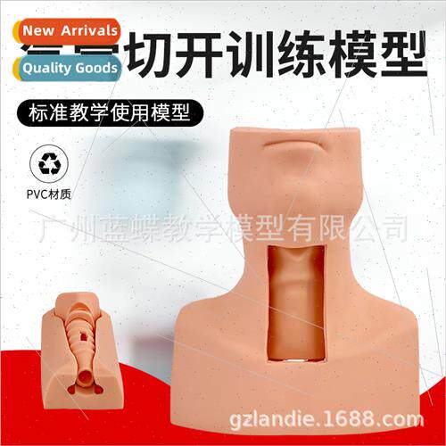 Human cricothyroid puncture tracheotomy intubation training