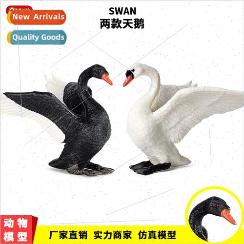 Animal model solid poultry pasture domestic goose black swan