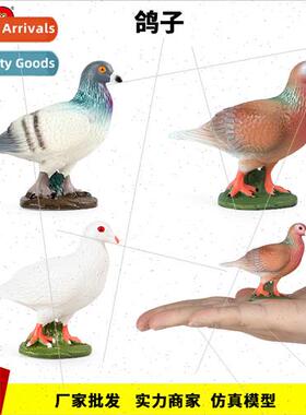 simulation animal model solid bird toys pigeons carrier pige