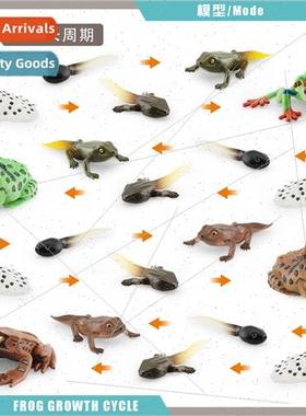 Red-eyed Frog Horned Frog Triangle Dead Leaf Frog Growth Cyc