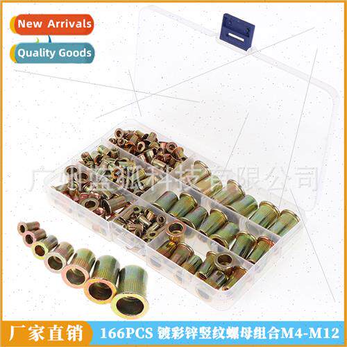166pcs color zinc plated flat head vertical rivet nut set Ri