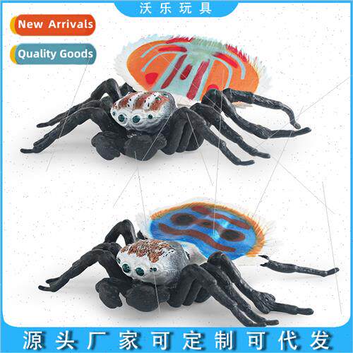 Wild insects animals jumping spider desktop ornaments model
