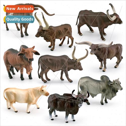 Texas Longhorn Rumor Cattle Charolais Cattle Gower Cattle Ri