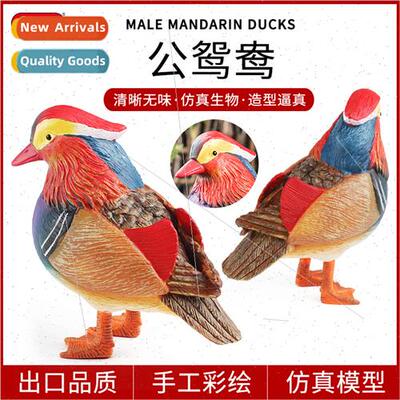Early education simulation mandarin ducks ornaments est bird