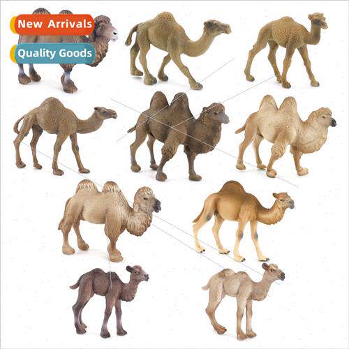 Desert camel solid static model ornament toy zoo bactrian dr