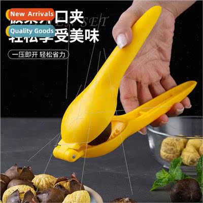 Chestnut openers chestnut openers peeling chestnut artifacts