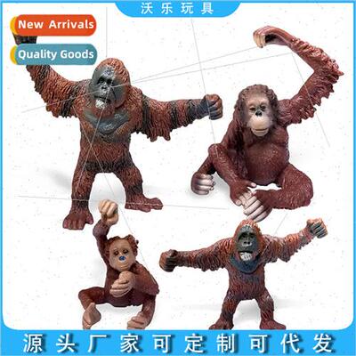 Zoo Small Ornament Toy Borneo Orangutan Model Solid Static