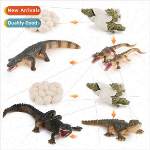 Animal Model Mini Wild Crocodile Growth Cycle Toy Solid Croc