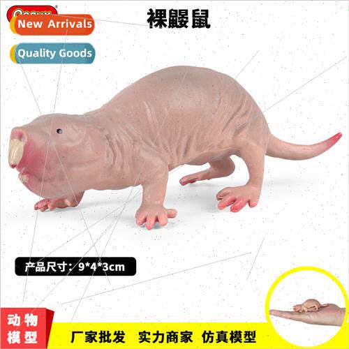 Naked mole rat wildlife model rat jungle spiny group mole ra