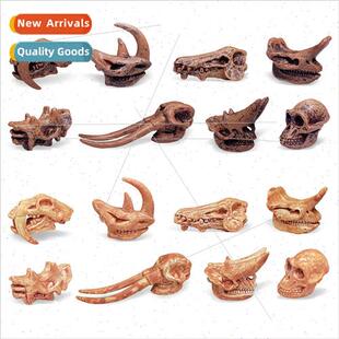Children prehistoric mammal skull fossil model saber-toothed