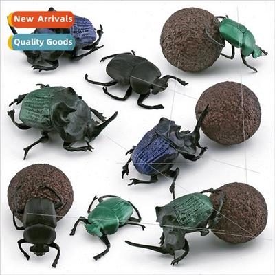 Insects wildlife dung beetle model children cognive dung bee