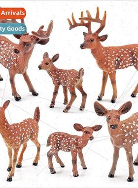 Forest Wildlife Whetail Deer Model Red Whetail Deer ka Deer
