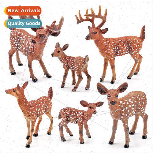 Forest Wildlife Whetail Deer Model Red Whetail Deer ka Deer