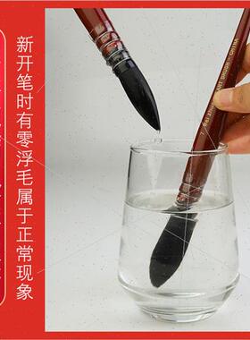 Red Fatty Art Painting HPainting Watercolor Brush Imation An