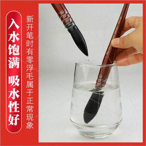 Red Fatty Art Painting HPainting Watercolor Brush Imation An