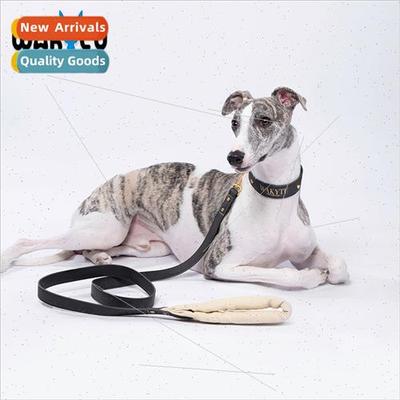 UK Dog Leash Collar P Chain Walking Dog Leash Anti-breakaway