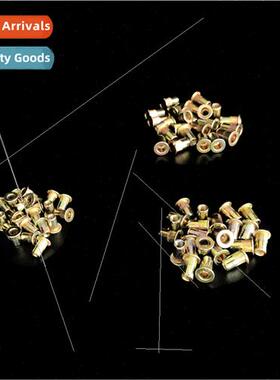 Pull Rivet Nut 100PCS Pack Colorful Zinc Plated Rivet Nut Po