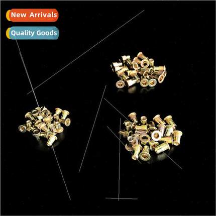 Pull Rivet Nut 100PCS Pack Colorful Zinc Plated Rivet Nut Po