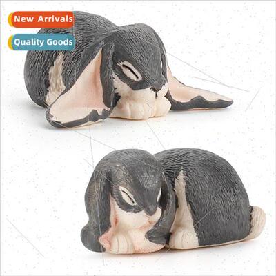 Wildlife Drop Eared Rabb Model Long Hair Long Ears Angora Ra
