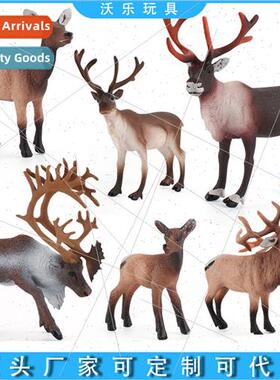 Wild Reindeer Model NewfoundlMale Reindeer Solid Static Chri