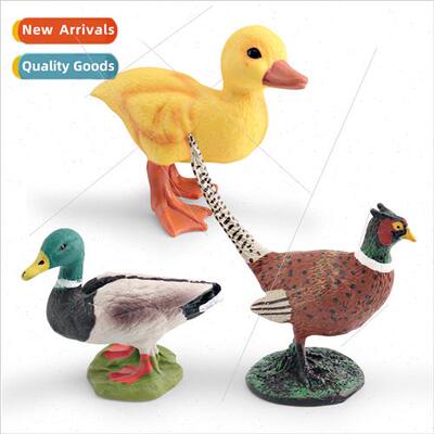 Poultry farm decorative chickens ducks ornaments适用children