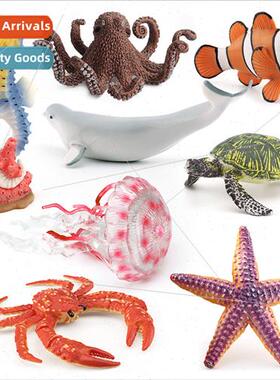 Model beluga whale sea turtle clownfish seahorse octopus kin