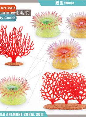 Marine life anemone coral model underwater animals green ane