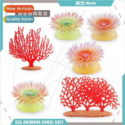 Marine life anemone coral model underwater animals green ane